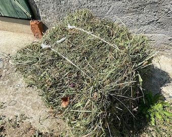 Fieno - ballette di fieno 5kg - balletta - coniglio - animale - erba - natura - fatto a mano