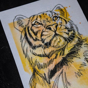 Acquerello tigre - incorniciato - ritratto di animale