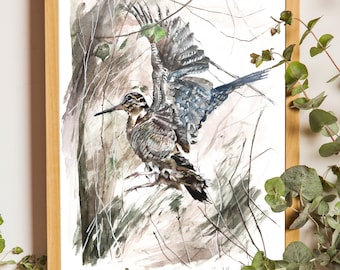 Tirage d'art - Bécasse en vol - dessin animalier - reproduction - forêt