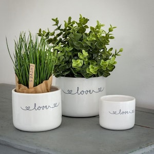 May include: Three white ceramic plant pots with the word "love" in cursive and a heart design. One pot contains chives with a "chives" label. The other two pots contain green plants. The pots are on a grey surface.