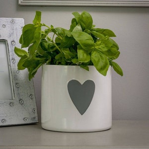 May include: A white ceramic planter with a grey heart design, filled with green basil plants.