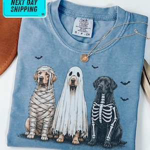 May include: A blue short-sleeve t-shirt featuring a graphic of three dogs in Halloween costumes: one wrapped as a mummy, one as a ghost, and one with a skeleton print. Small black bats are scattered around the dogs on the fabric.
