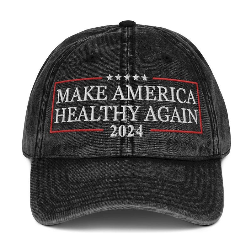 Make America Healthy Again Hat Etsy