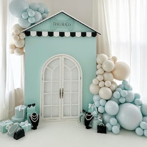 May include: A light blue and white storefront backdrop with a sign that reads "Bali & Co.". The backdrop is decorated with white and light blue balloons. There are also several gift boxes and jewelry pieces on the floor in front of the backdrop.
