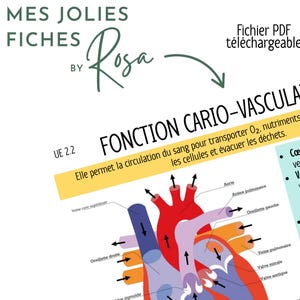 Peut inclure: Schéma en français du cœur et du système circulatoire, avec un cœur rouge et violet, des artères et des veines bleues et oranges. Le texte comprend "FONCTION CARIO-VASCULAIRE" et "Fichier PDF téléchargeable".