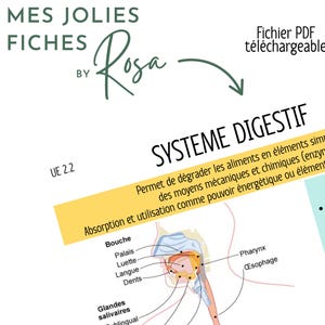 May include: A diagram of the digestive system with labels in French. The image includes the text "MES JOLIES FICHES BY Rosa" and "SYSTEME DIGESTIF". The diagram shows the mouth, esophagus, stomach, and intestines.