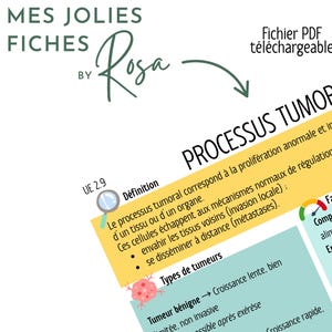 Peut inclure: Un document PDF téléchargeable intitulé "PROCESSUS TUMORAL", détaillant les processus tumoraux, les facteurs de risque et les types de tumeurs. Le document est étiqueté "MES JOLIES FICHES BY Rosa".