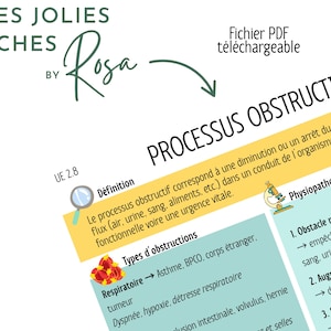 Puede incluir: Un documento PDF educativo médico titulado "PROCESSUS OBSTRUCTIF" con texto en francés. El documento incluye definiciones, tipos de obstrucciones y una sección sobre fisiopatología. El documento está diseñado por Rosa.