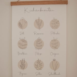 Kitchen poster DIN A3 | illustrated kitchen herbs | poster for the kitchen