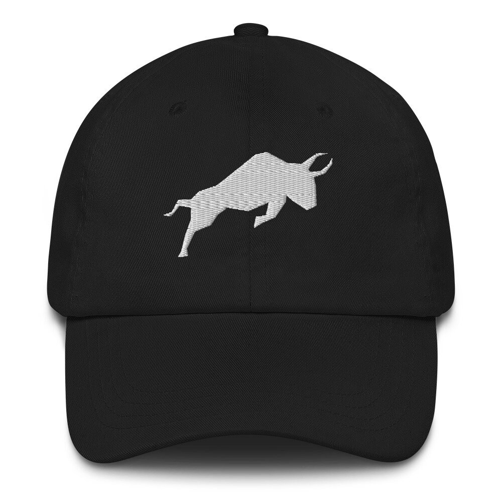 Polymath Hat, Polymath Embroidered Dad Cap, Polymath Crypto Gift - Etsy