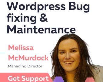 Fix WordPress website issues or bugs | customize WordPress theme | WordPress Management Maintenance Support or help | Hourly Rates