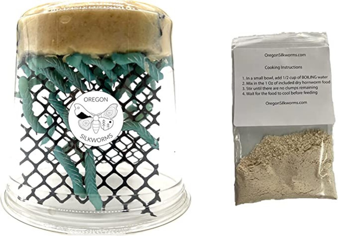 Live Hornworms 25-30 Ct by Oregon Silkworms Includes Free 1 OZ Powdered
