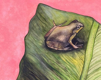 Lente gluurder en blad originele aquarel schilderij afdrukken