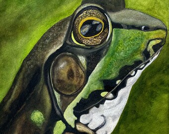 Kikker originele aquarel print