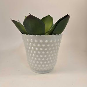 Vintage Milk Glass Planter With Hobnail Pattern and Scalloped Edge by Fire King