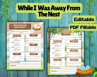 Infant Daily Report for Nanny: Child Care Tracker (Fillable PDF)