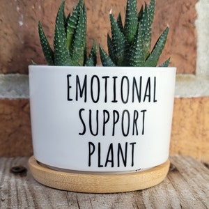 Emotional Support Plant Sassy Sayings Ceramic Plant Pot with Drainage,Funny Succulent Pot, Cactus Pot, Valentine Plant Gift For Friend