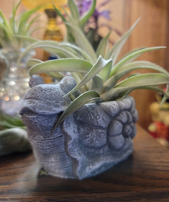 Ceramic Mini Flower Pots Tortoise Hedgehog Snail Succulent Planters Home Decors 