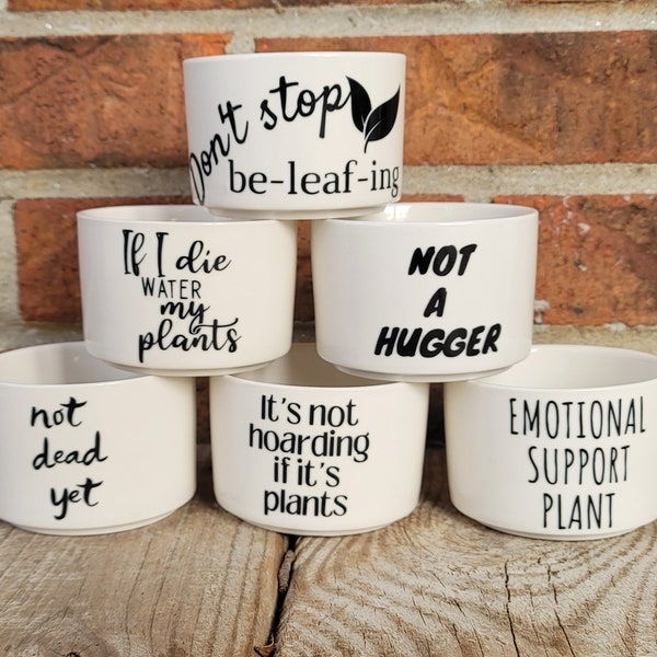 Sassy Sayings Ceramic Plant Pot, Succulent Planter,Funny Plant Pot,Cactus Pot,Air Plant Pot,Houseplant Pot,Plant Gift for Dad, Gift for Host