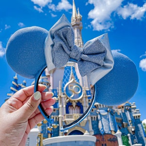 Cinderella Princess Ears