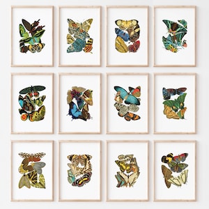 Könnte beinhalten: Set mit 12 druckbaren Kunstdrucken mit bunten Schmetterlings-Illustrationen. Jeder Druck zeigt eine einzigartige Anordnung von Schmetterlingen mit leuchtenden Farben und filigranen Mustern.