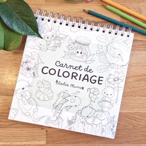 Libro para colorear, libro para colorear, 28 páginas para colorear con modelo, lindas ilustraciones para adultos, escala de grises, momento acogedor