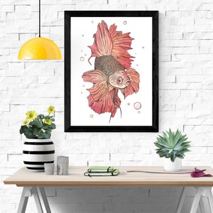 Watercolor Betta Print | Red | download | Wall Art | Wall Decor | Digital