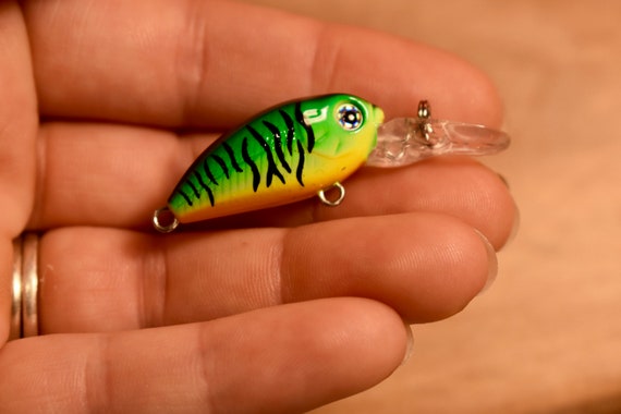 Rainbow Trout, Custom Painted Crankbait Fishing Lure. Fishing Gifts for  Husband, Fishing Gifts for Her. 