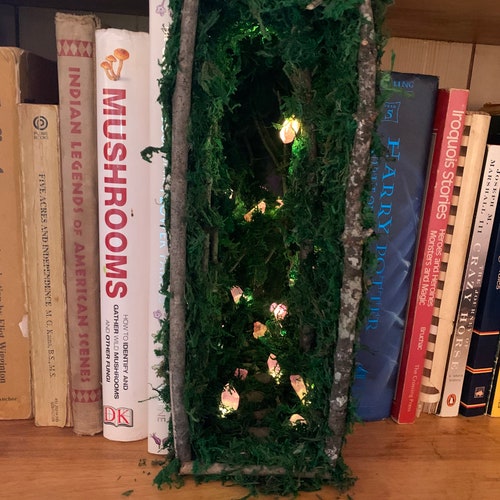 Book Nook Fairy Forest Shelf Insert Rose Crystal Garden Etsy