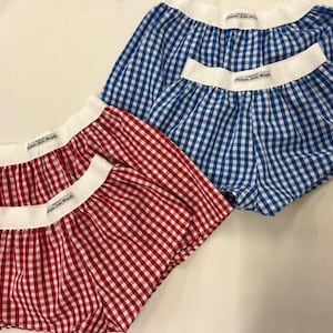 May include: Red and blue gingham shorts with white waistbands. The shorts are in two sizes, with the smaller size nested inside the larger size. The waistbands have a small white tag with text.