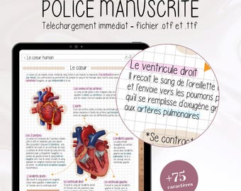 May include: A diagram of the human heart with labels in French. The diagram shows the right ventricle, left ventricle, right atrium, left atrium, aorta, pulmonary artery, and pulmonary vein. The text reads "Le ventricule droit Il recoit le sang de l'oreillette et l'envoie vers les poumons pour qu'il se remplisse d'oxygène grâce aux artères pulmonaires *Se contracte +75 caractères"