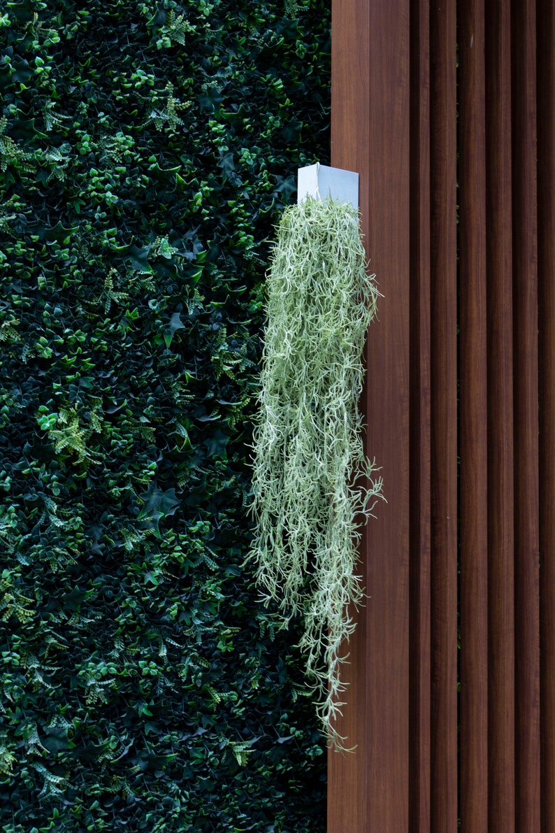 Artificial Hanging Spanish Moss set of 2 High Quality Etsy