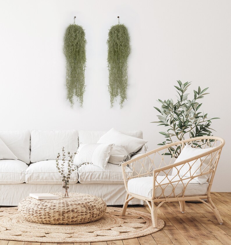 Artificial Hanging Spanish Moss set of 2 High Quality Etsy