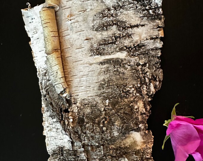 Real White Birch Bark, Birch Bark Sheets, Approximately 8.5 Inches Long