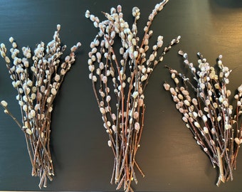 Fresh cut Pussy Willow Branches, Spring Easter decoration, 14'' 11'' 9" 6''Long Real Pussy Willow Stems