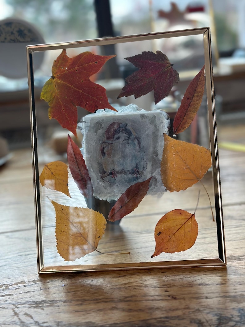 Pressed Maple & Birch Leaf Float Frame, Fall Home Decor Size 10”x8” - Etsy