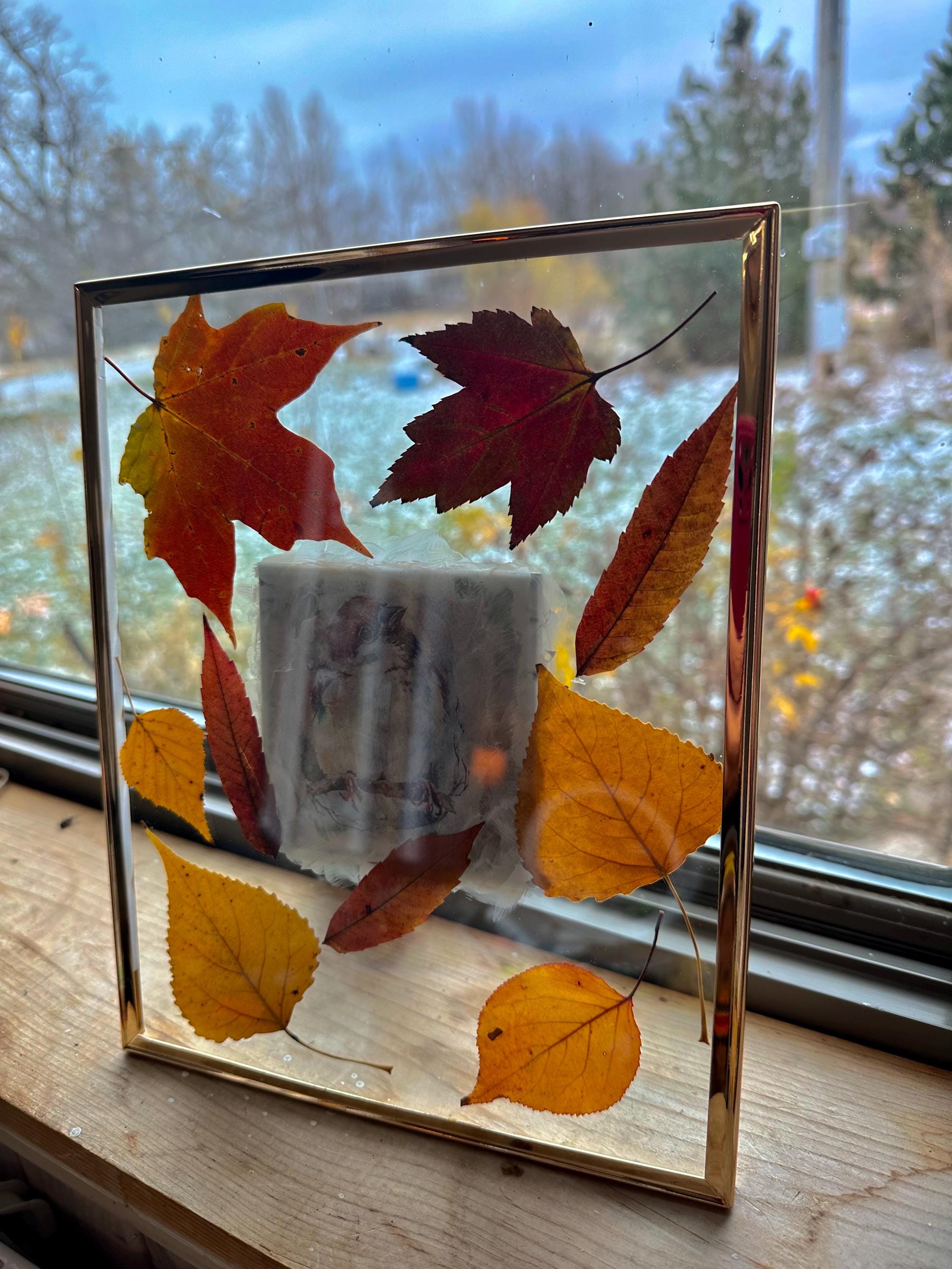 Pressed Maple & Birch Leaf Float Frame, Fall Home Decor Size 10”x8” - Etsy
