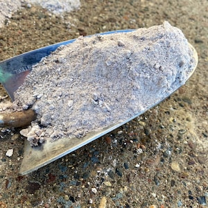 Pu&ograve; includere: Primo piano di una pala di metallo piena di una polvere fine di colore grigio chiaro. La pala &egrave; appoggiata su una superficie di ghiaia.