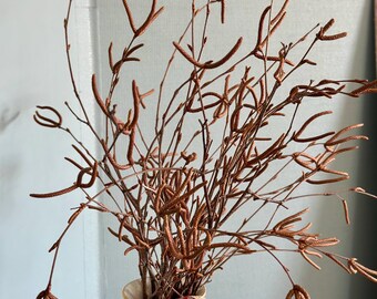 17'' -18” long white birch branches fresh cut Spring 2026 - 15 branches