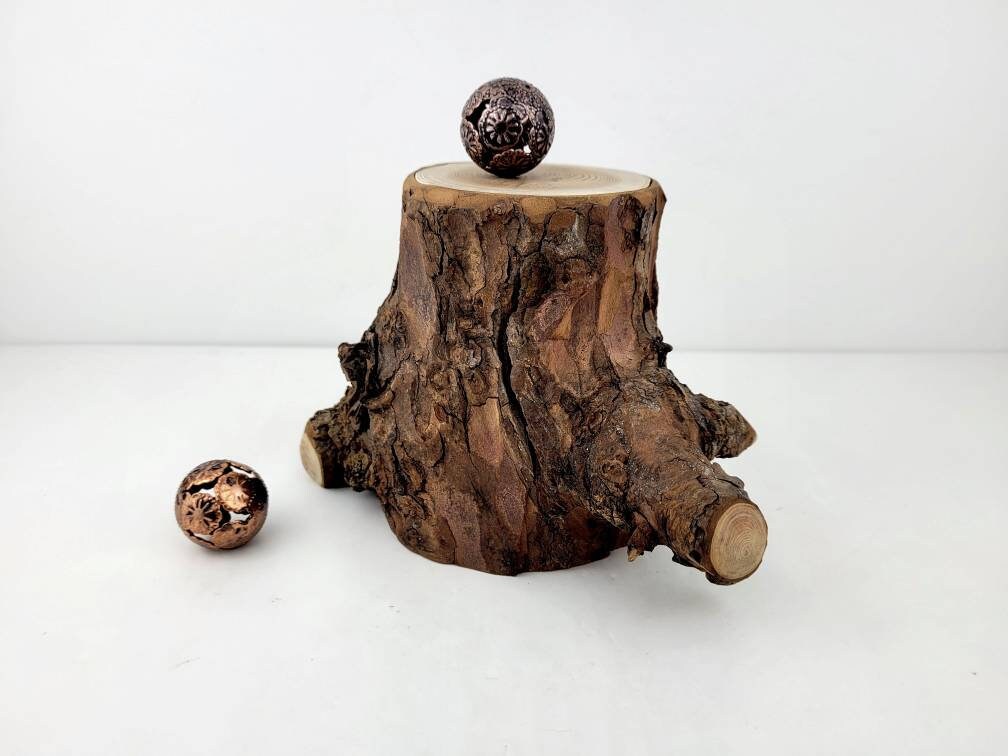 Kit de bricolaje de pino en rodajas de madera, decoración de jardín de  infantes, corteza de árbol, regalos para manualidades, troncos de pino,  troncos