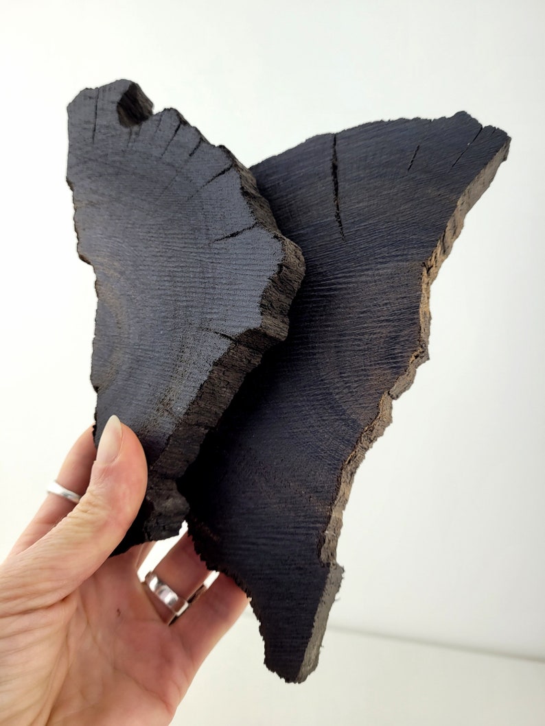 Raw Black Oak Wood Bog Oak Wood Slices Ancient Wood 2pcs Etsy