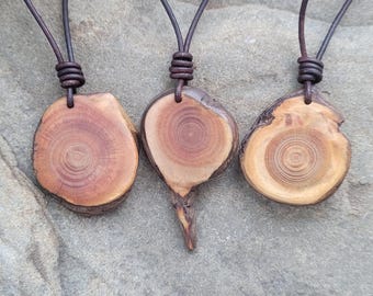 Nature's Treasure Spiritual Necklace Pendant, Organic Amulet, Nature Lover Jewelry