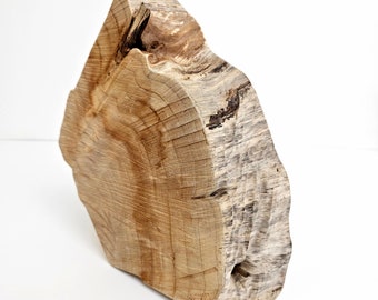 Trozo de madera cruda áspera, bloque de madera de ciprés natural, accesorio de fotografía, decoración de madera cruda