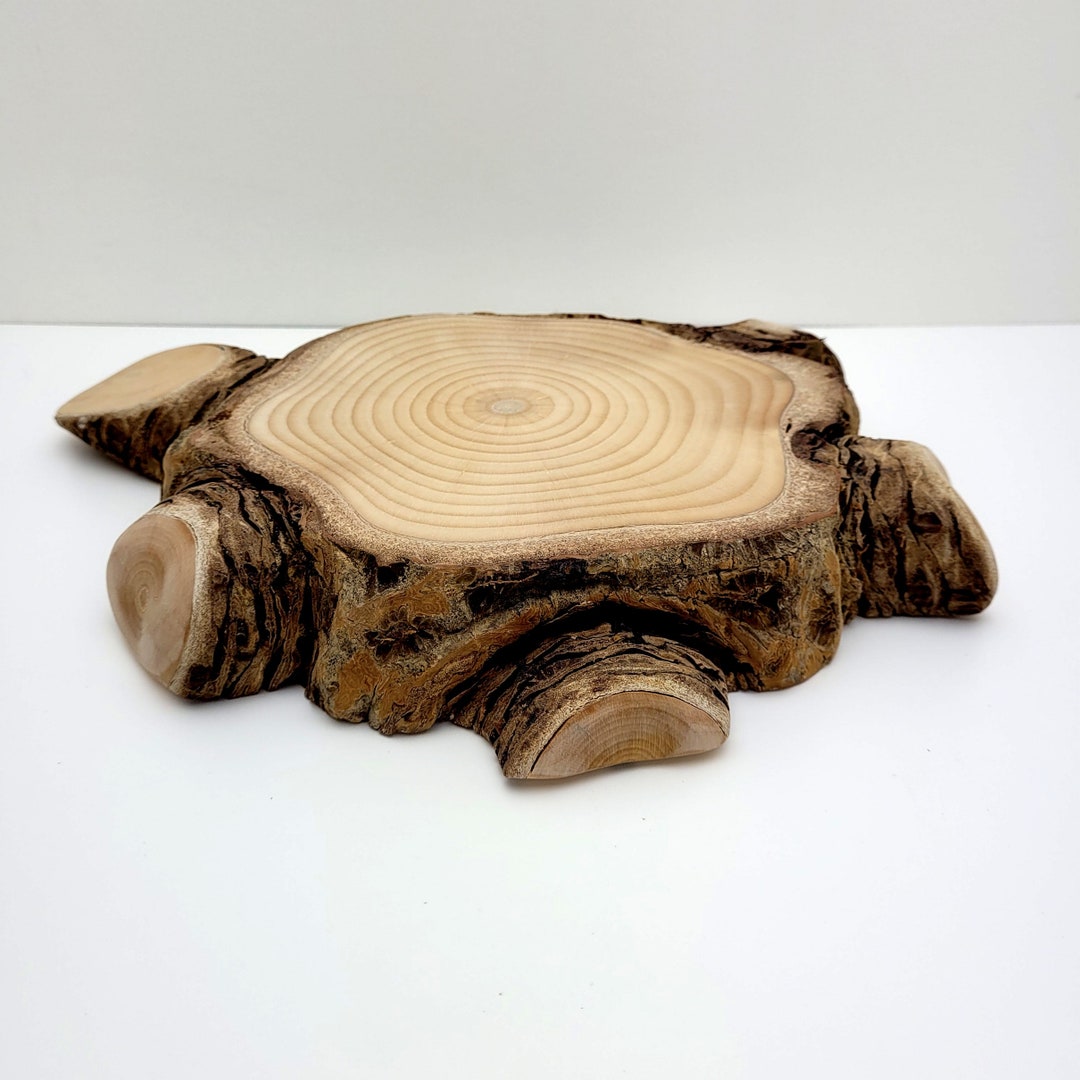 Natural Tree Stump Slab, Table Top Centerpiece, Decorative Wood Round