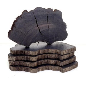Natural wood coaster Raw black bog oak slab, display ornamental