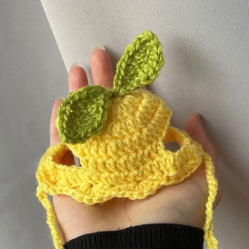 Crochet Cowboy Hat for Cats Etsy UK