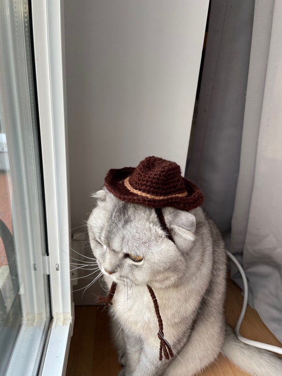 Crochet Cowboy Hat for Cats | Etsy UK