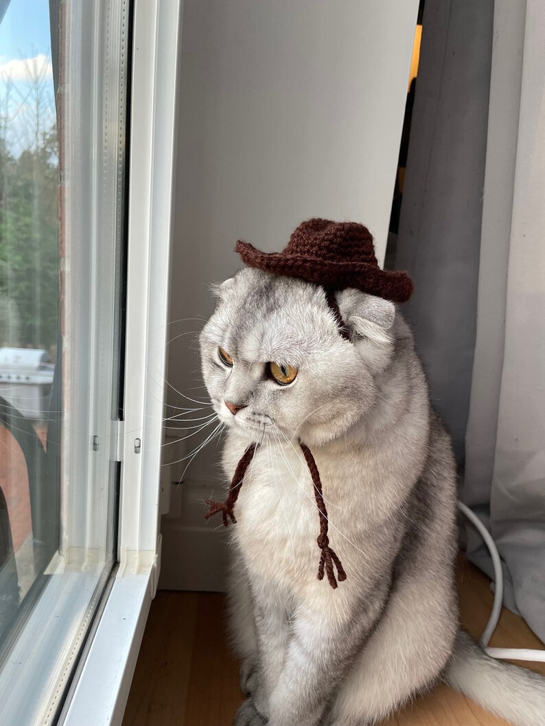 Crochet Cowboy Hat for Cats Etsy