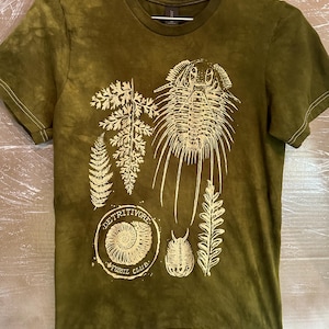 May include: A green t-shirt with a tie-dye pattern featuring a fossil club logo with the text "Detritivore Fossil Club". The shirt also features illustrations of various fossils, including trilobites and ferns.