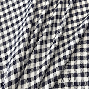 Può includere: Primo piano di un tessuto con un classico motivo a quadretti blu navy e bianco. Il tessuto è drappeggiato, mostrando pieghe e consistenza. Il design a quadretti è uniformemente distanziato, creando un tessuto visivamente accattivante.
